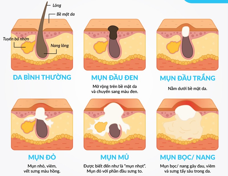 Công ty TNHH đầu tư phát triển và thương mại Phúc Hưng