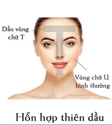Công ty TNHH đầu tư phát triển và thương mại Phúc Hưng