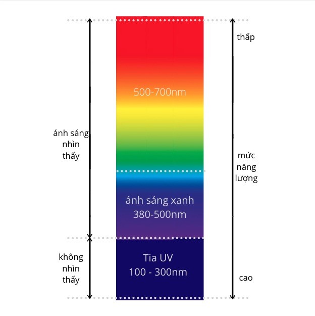Công ty TNHH đầu tư phát triển và thương mại Phúc Hưng