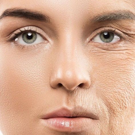Công ty TNHH đầu tư phát triển và thương mại Phúc Hưng