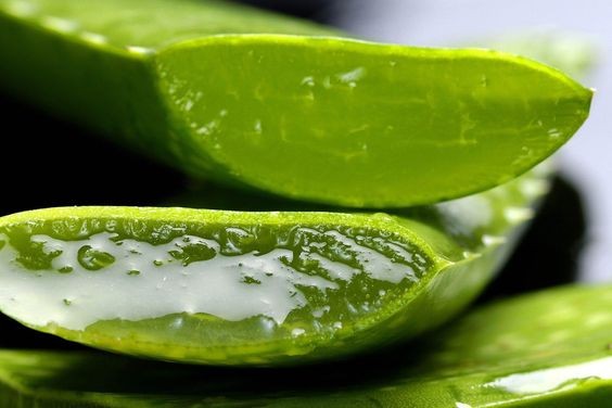 Công ty TNHH đầu tư phát triển và thương mại Phúc Hưng